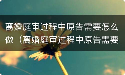 离婚庭审过程中原告需要怎么做（离婚庭审过程中原告需要怎么做准备）