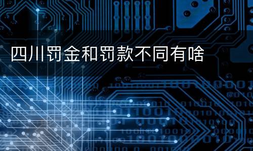 四川罚金和罚款不同有啥