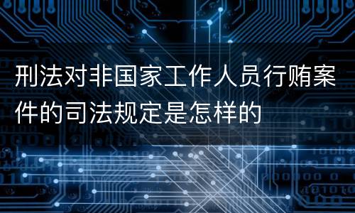 刑法对非国家工作人员行贿案件的司法规定是怎样的