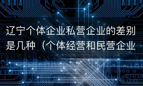辽宁个体企业私营企业的差别是几种（个体经营和民营企业的区别）