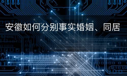 安徽如何分别事实婚姻、同居
