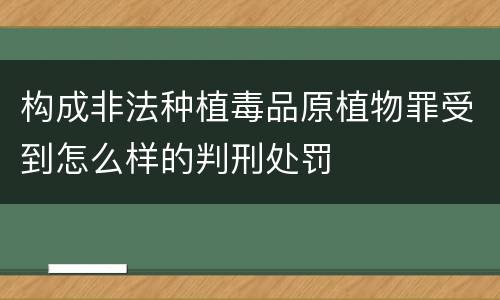 构成非法种植毒品原植物罪受到怎么样的判刑处罚