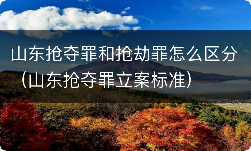 山东抢夺罪和抢劫罪怎么区分（山东抢夺罪立案标准）