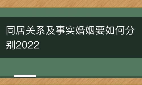 同居关系及事实婚姻要如何分别2022