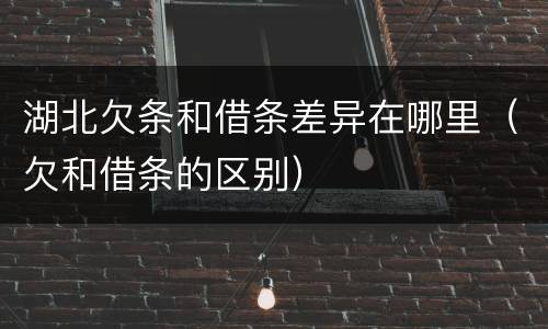 湖北欠条和借条差异在哪里（欠和借条的区别）