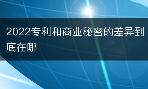 2022专利和商业秘密的差异到底在哪