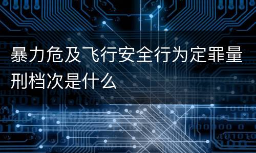暴力危及飞行安全行为定罪量刑档次是什么