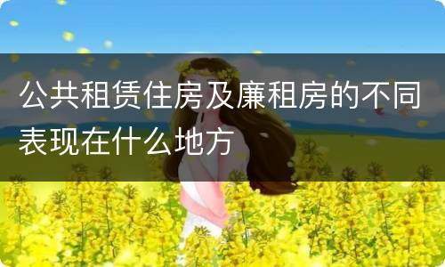 公共租赁住房及廉租房的不同表现在什么地方