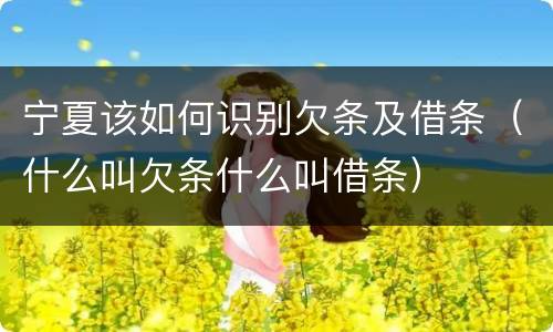 宁夏该如何识别欠条及借条（什么叫欠条什么叫借条）