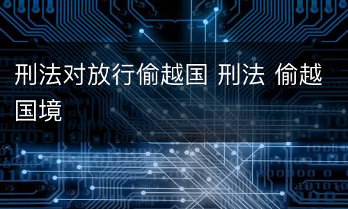 刑法对放行偷越国 刑法 偷越国境