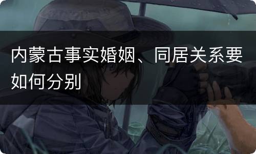 内蒙古事实婚姻、同居关系要如何分别