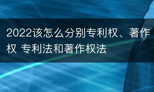 2022该怎么分别专利权、著作权 专利法和著作权法