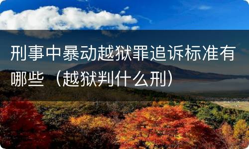 刑事中暴动越狱罪追诉标准有哪些（越狱判什么刑）