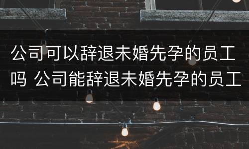 公司可以辞退未婚先孕的员工吗 公司能辞退未婚先孕的员工吗