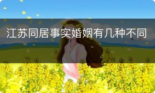 江苏同居事实婚姻有几种不同