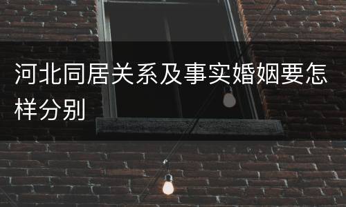 河北同居关系及事实婚姻要怎样分别