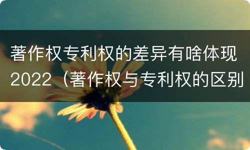 著作权专利权的差异有啥体现2022（著作权与专利权的区别）