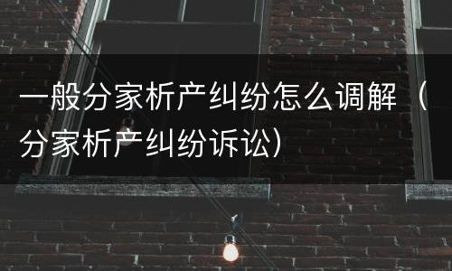 一般分家析产纠纷怎么调解（分家析产纠纷诉讼）