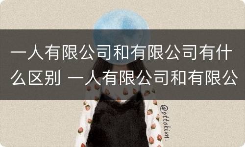 一人有限公司和有限公司有什么区别 一人有限公司和有限公司的区别