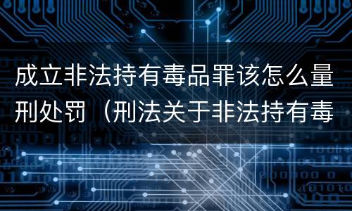 成立非法持有毒品罪该怎么量刑处罚（刑法关于非法持有毒品罪的规定）