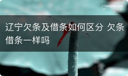 辽宁欠条及借条如何区分 欠条借条一样吗