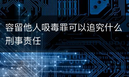 容留他人吸毒罪可以追究什么刑事责任