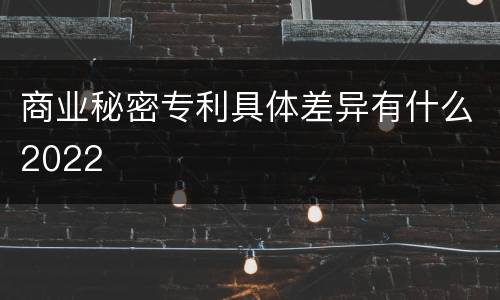商业秘密专利具体差异有什么2022