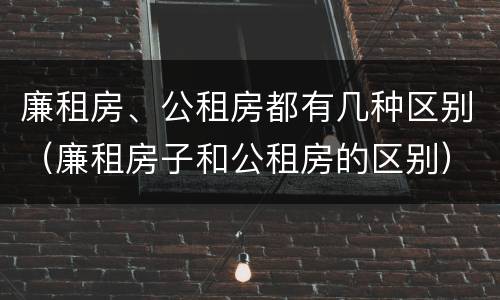 廉租房、公租房都有几种区别（廉租房子和公租房的区别）