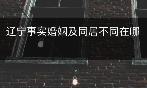 辽宁事实婚姻及同居不同在哪