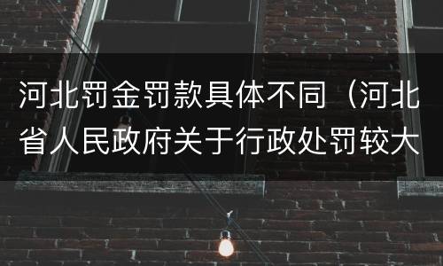 河北罚金罚款具体不同（河北省人民政府关于行政处罚较大数额罚款标准的规定）