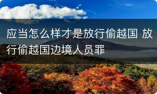 应当怎么样才是放行偷越国 放行偷越国边境人员罪
