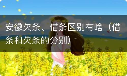安徽欠条、借条区别有啥（借条和欠条的分别）
