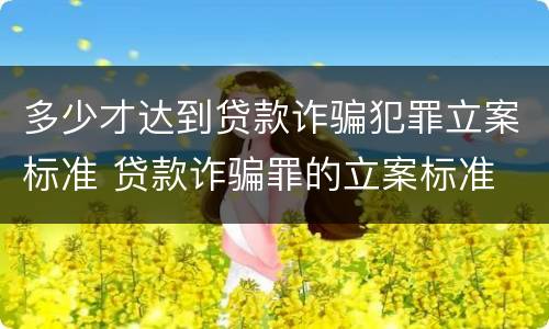 多少才达到贷款诈骗犯罪立案标准 贷款诈骗罪的立案标准