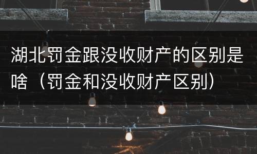 湖北罚金跟没收财产的区别是啥（罚金和没收财产区别）