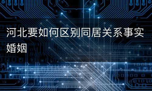 河北要如何区别同居关系事实婚姻