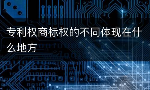 专利权商标权的不同体现在什么地方
