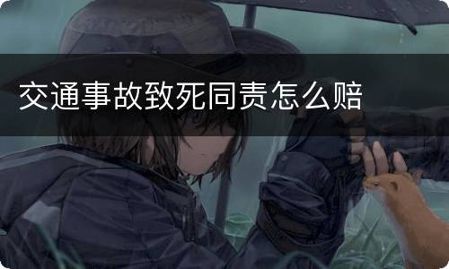 交通事故致死同责怎么赔