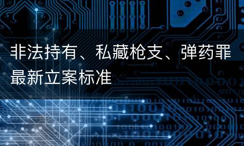 非法持有、私藏枪支、弹药罪最新立案标准