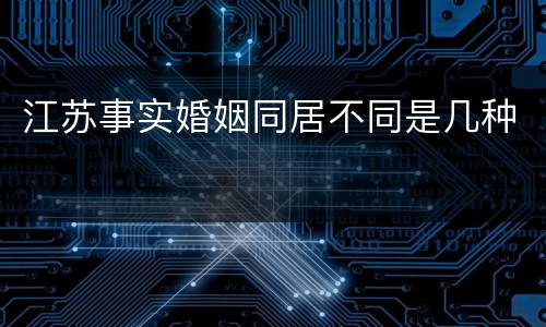 江苏事实婚姻同居不同是几种