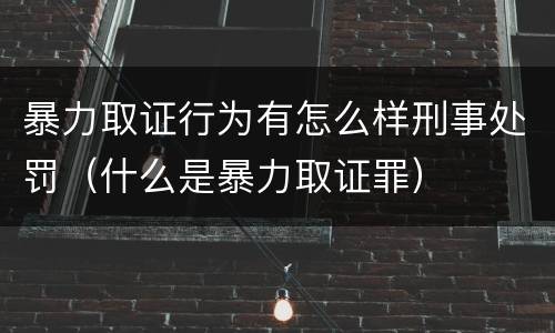 暴力取证行为有怎么样刑事处罚（什么是暴力取证罪）