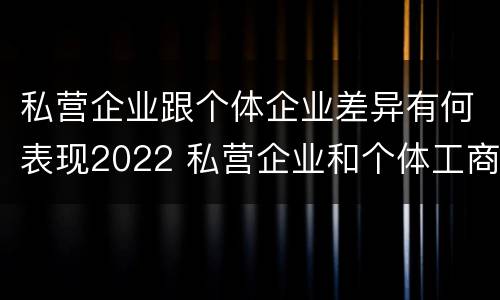 私营企业跟个体企业差异有何表现2022 私营企业和个体工商户的区别哪些?