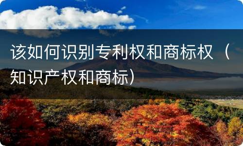 该如何识别专利权和商标权（知识产权和商标）