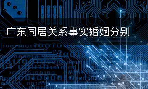 广东同居关系事实婚姻分别