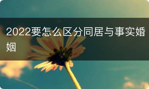 2022要怎么区分同居与事实婚姻