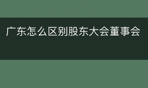 广东怎么区别股东大会董事会
