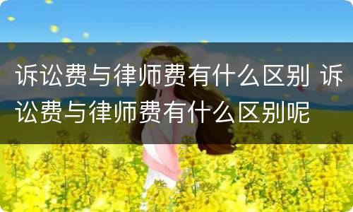 诉讼费与律师费有什么区别 诉讼费与律师费有什么区别呢