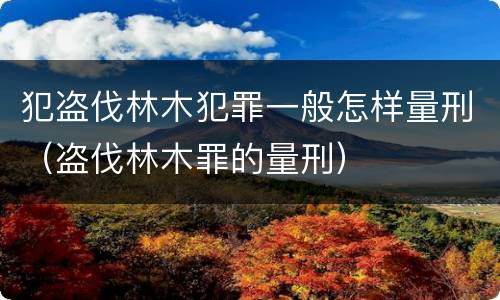 犯盗伐林木犯罪一般怎样量刑（盗伐林木罪的量刑）