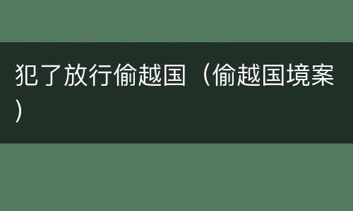 犯了放行偷越国（偷越国境案）