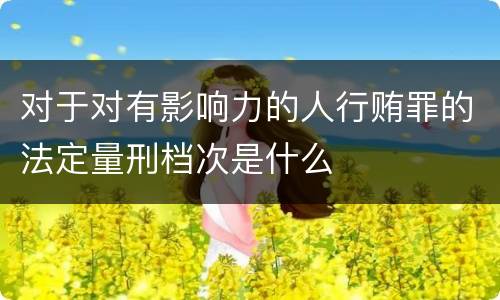 对于对有影响力的人行贿罪的法定量刑档次是什么