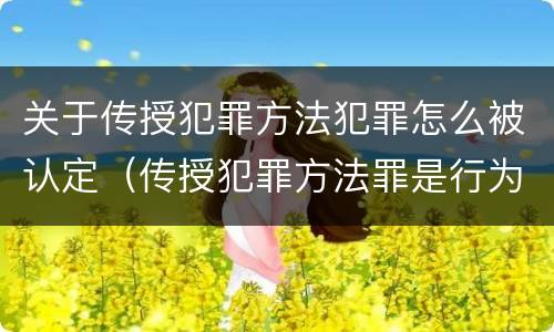 关于传授犯罪方法犯罪怎么被认定（传授犯罪方法罪是行为犯吗）